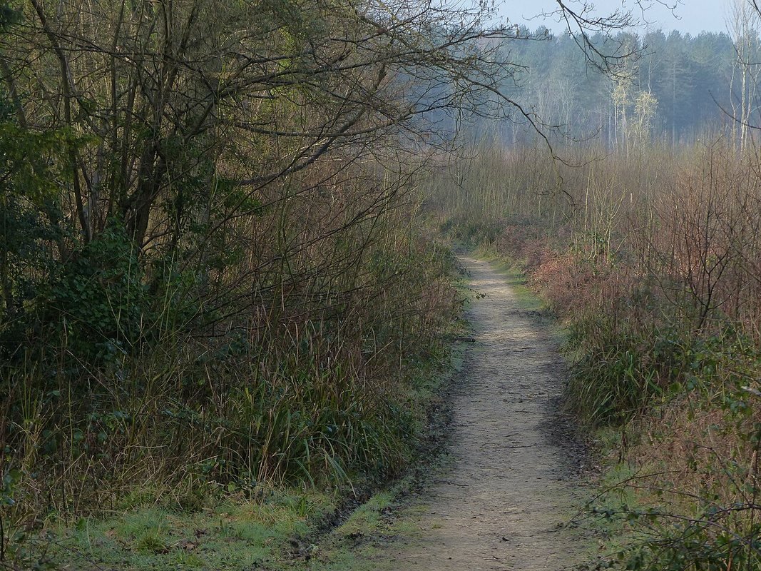 Photograph accompanying Walk - WEST